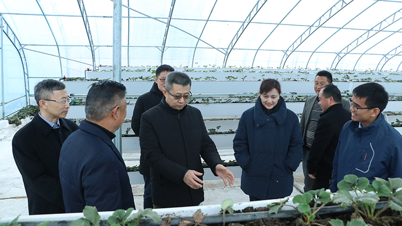 �������ǲ���(�й���)�ٷ���վ