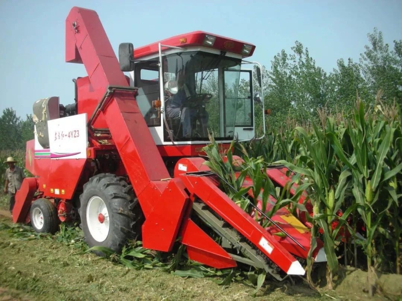 �������ǲ���(�й���)�ٷ���վ