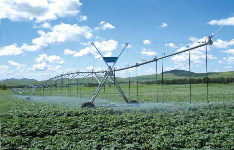 �������ǲ���(�й���)�ٷ���վ