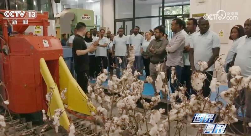 �������ǲ���(�й���)�ٷ���վ