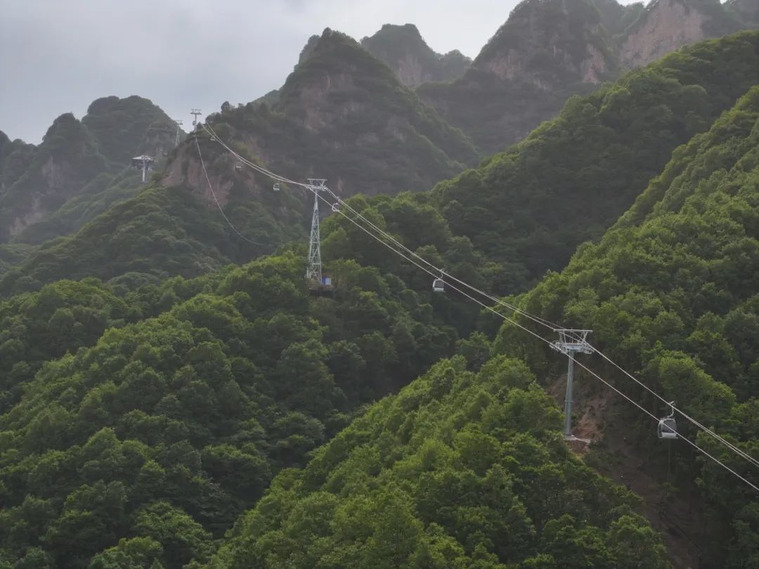 �������ǲ���(�й���)�ٷ���վ