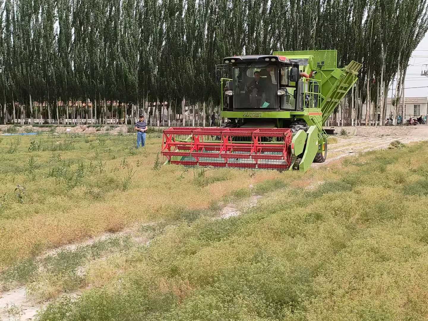 �������ǲ���(�й���)�ٷ���վ