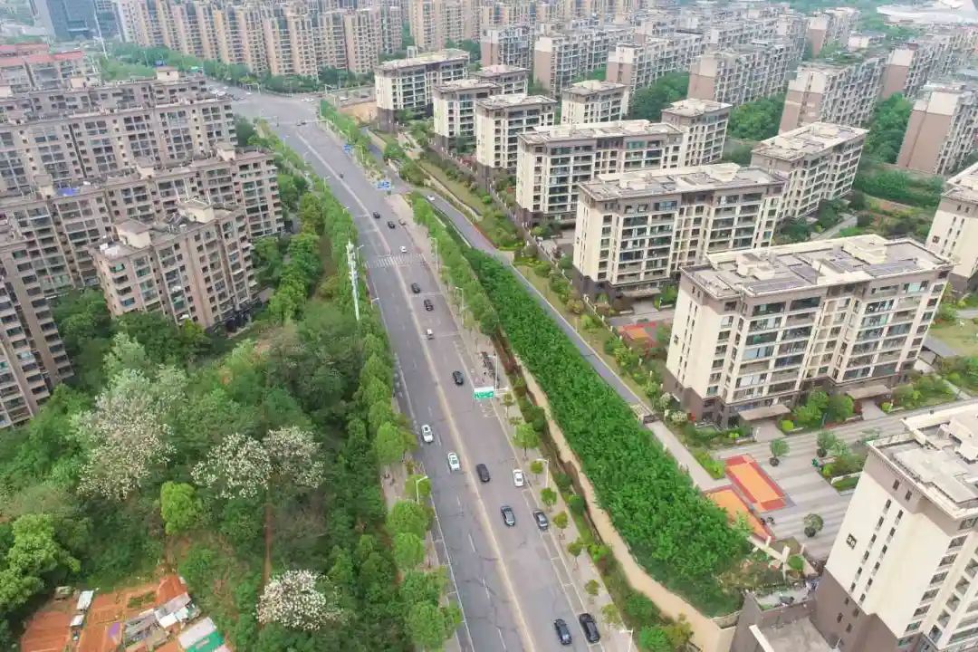 �������ǲ���(�й���)�ٷ���վ