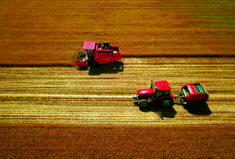 �������ǲ���(�й���)�ٷ���վ