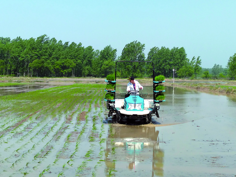 �������ǲ���(�й���)�ٷ���վ