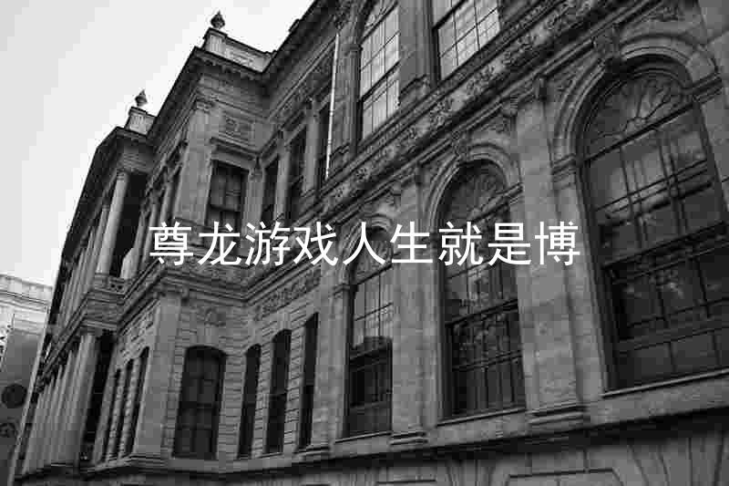 尊龙游戏人生就是博