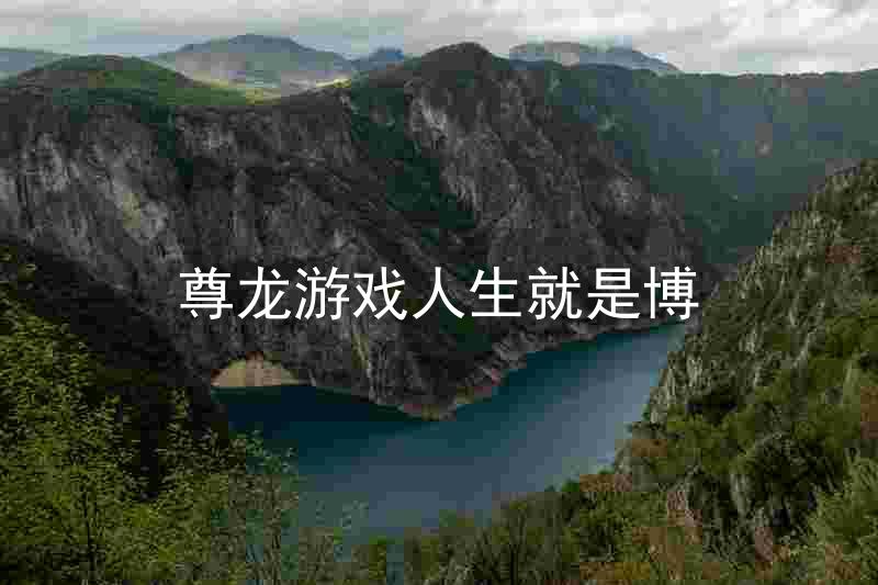 尊龙游戏人生就是博