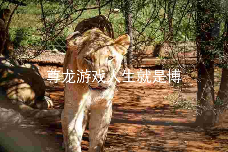 尊龙游戏人生就是博