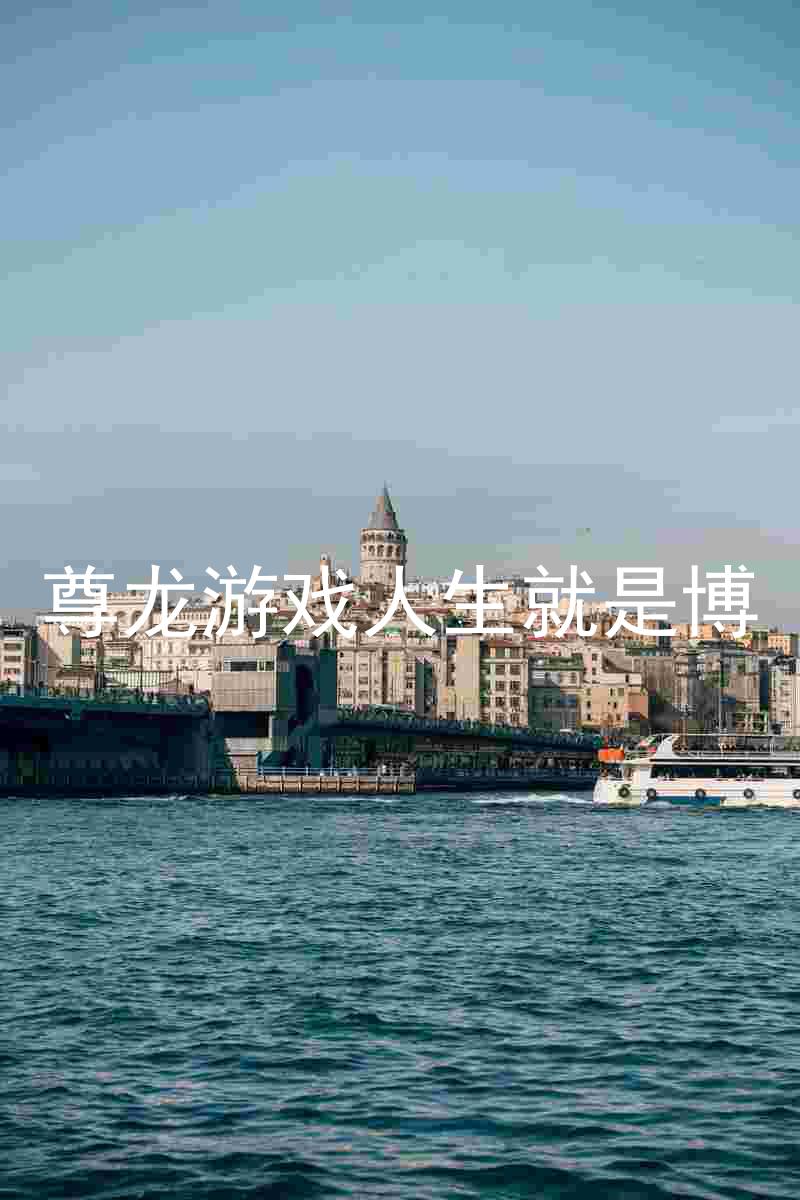 尊龙游戏人生就是博