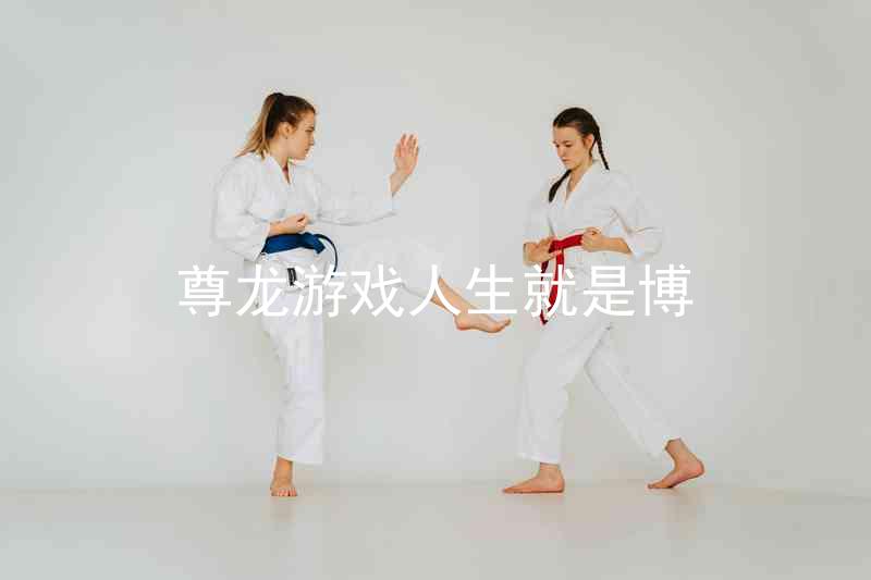尊龙游戏人生就是博