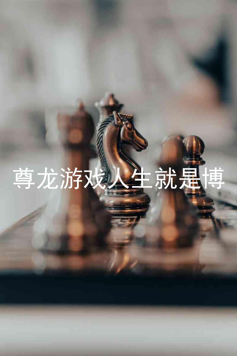 尊龙游戏人生就是博
