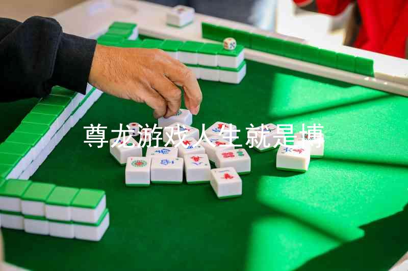 尊龙游戏人生就是博
