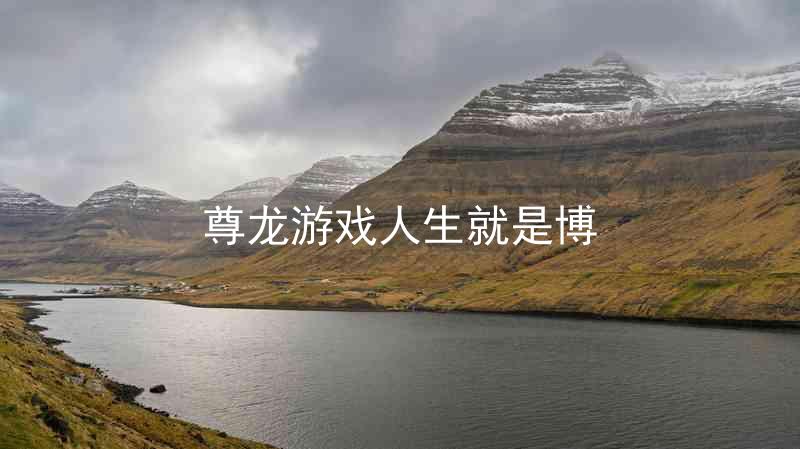 尊龙游戏人生就是博