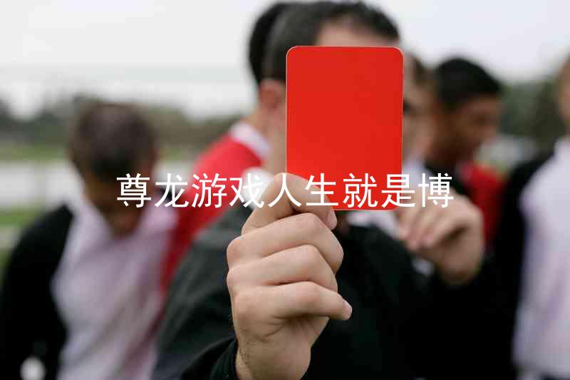 尊龙游戏人生就是博
