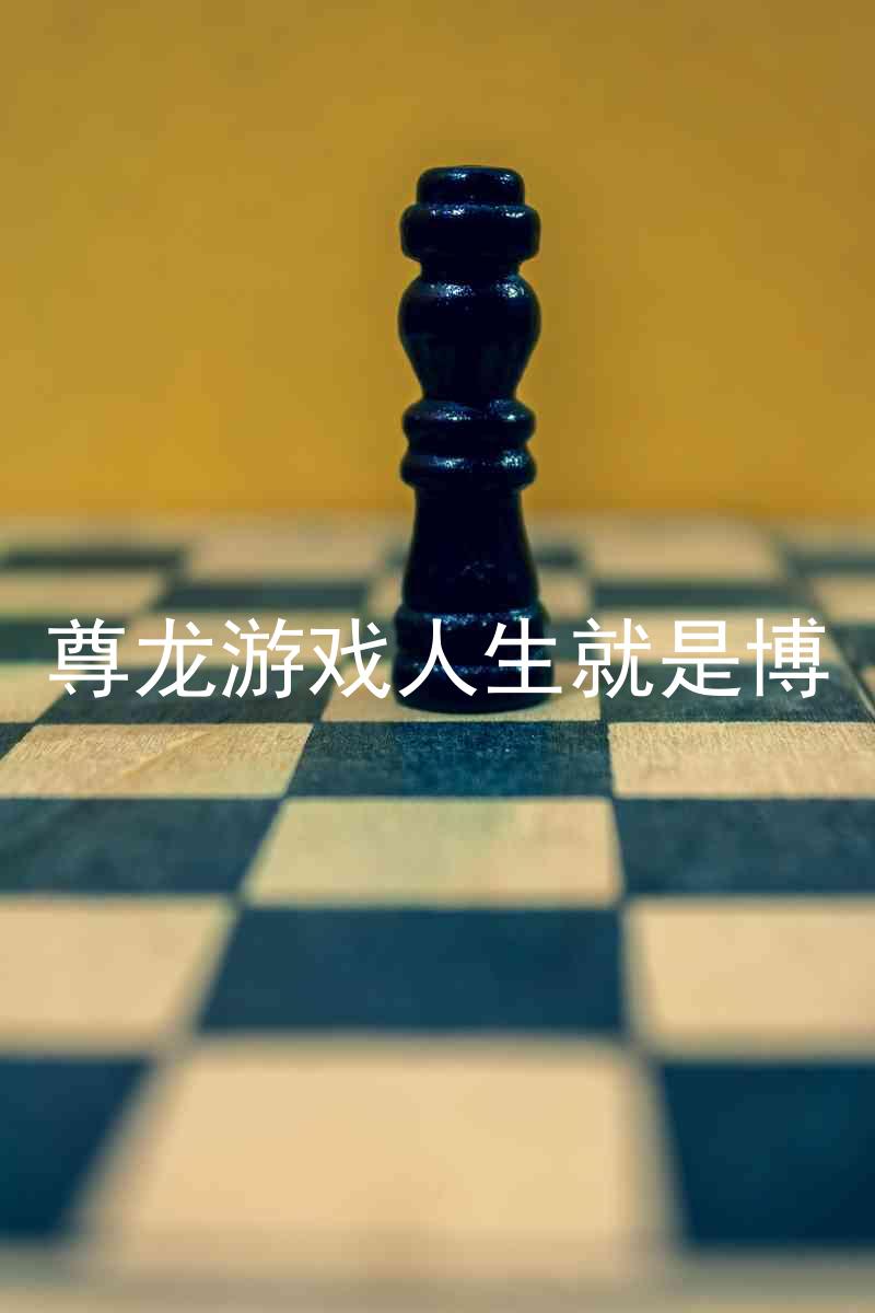 尊龙游戏人生就是博