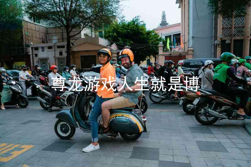 尊龙游戏人生就是博