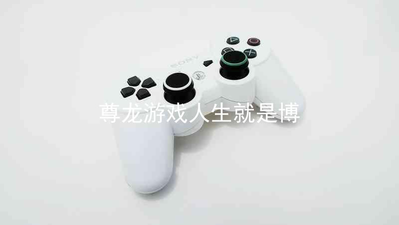 尊龙游戏人生就是博