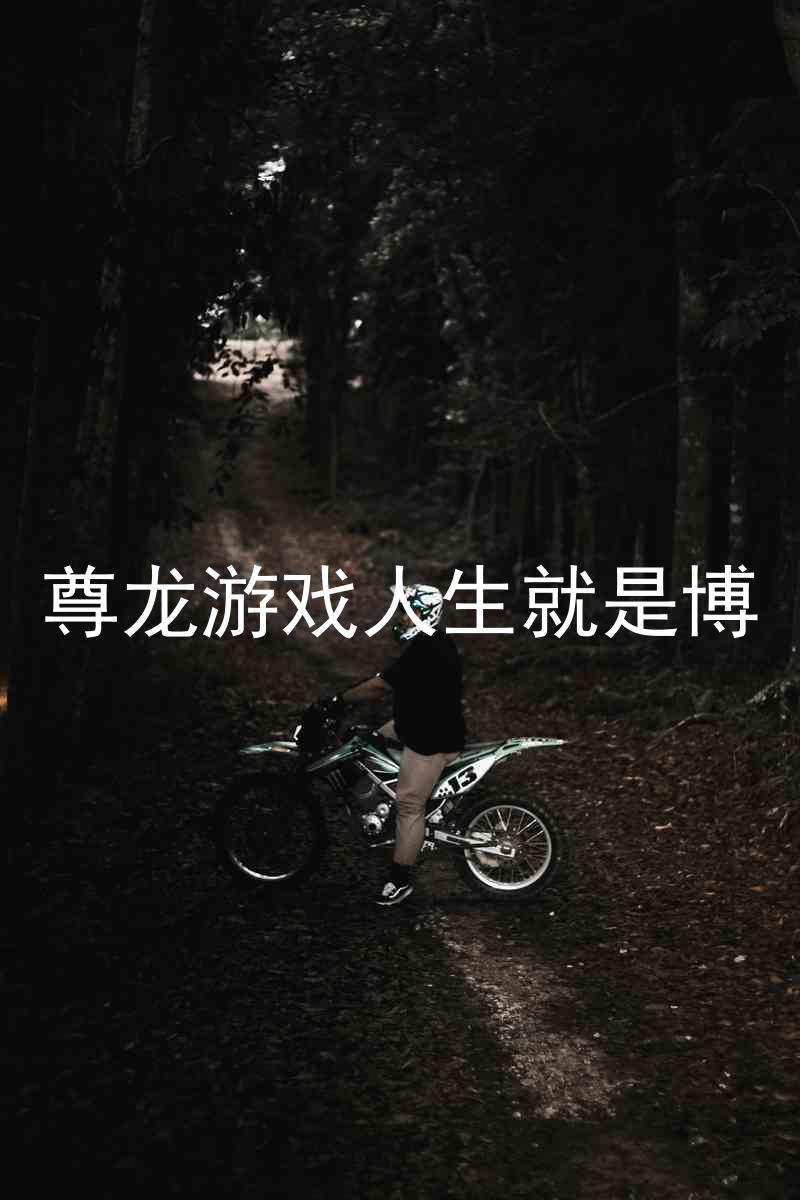 尊龙游戏人生就是博