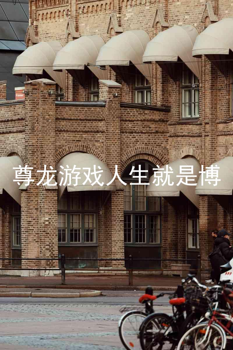 尊龙游戏人生就是博