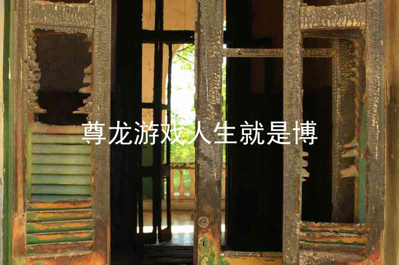 尊龙游戏人生就是博