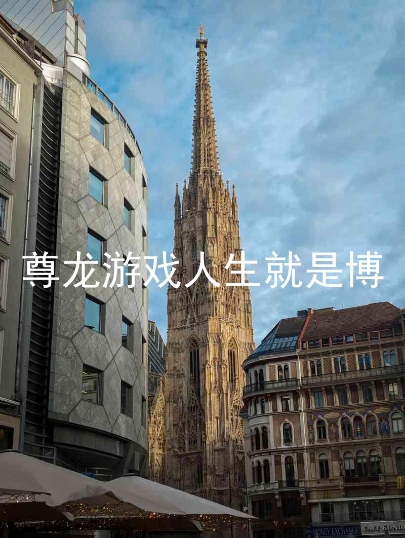 尊龙游戏人生就是博