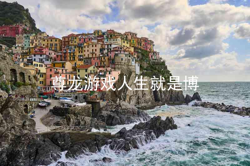 尊龙游戏人生就是博