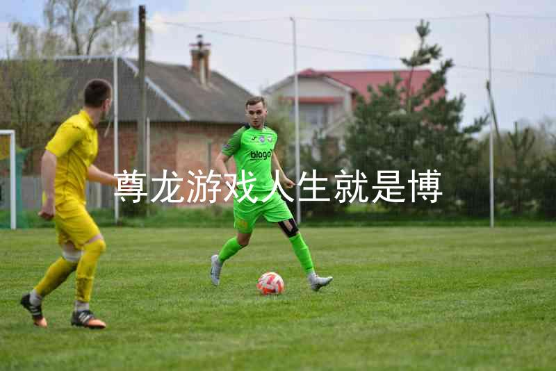 尊龙游戏人生就是博