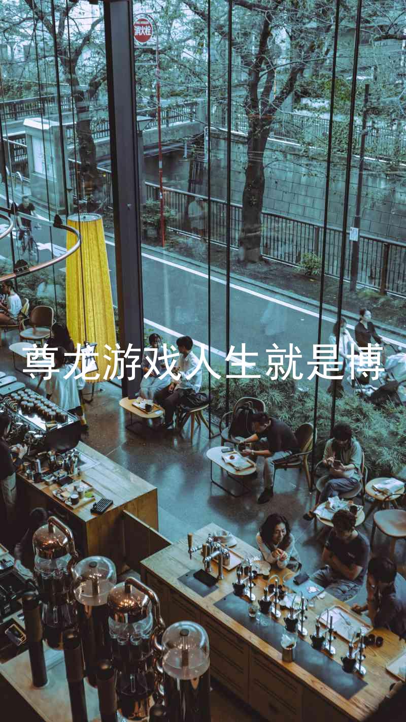 尊龙游戏人生就是博