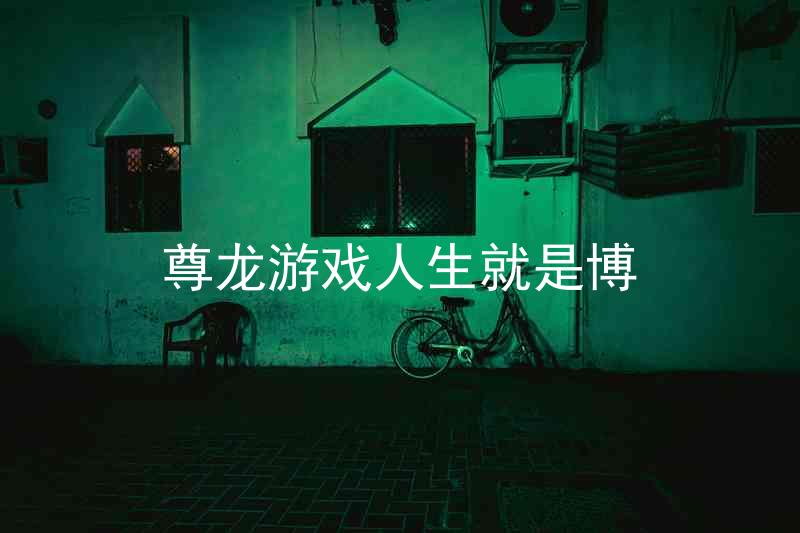 尊龙游戏人生就是博