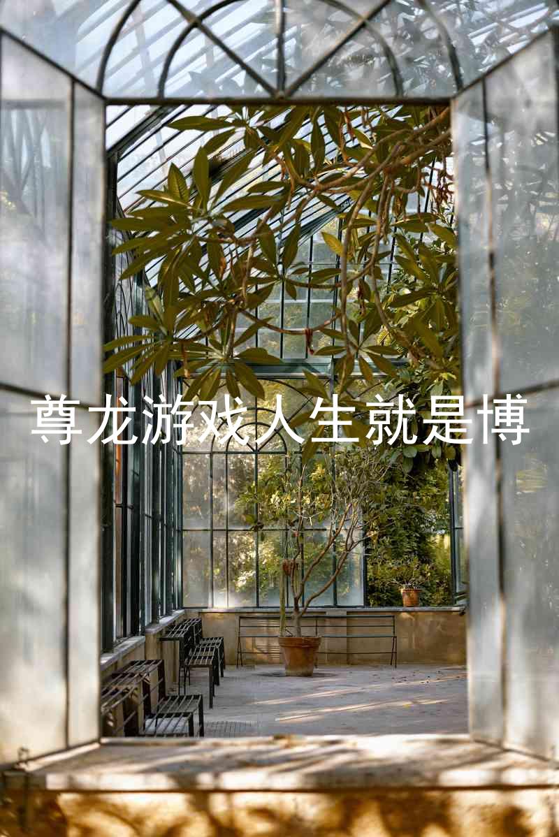 尊龙游戏人生就是博