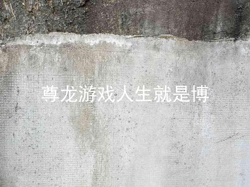 尊龙游戏人生就是博
