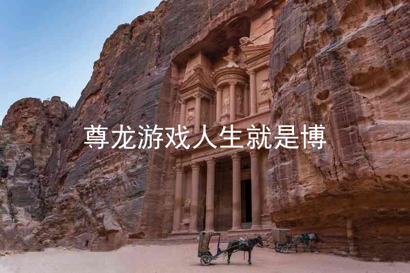 尊龙游戏人生就是博