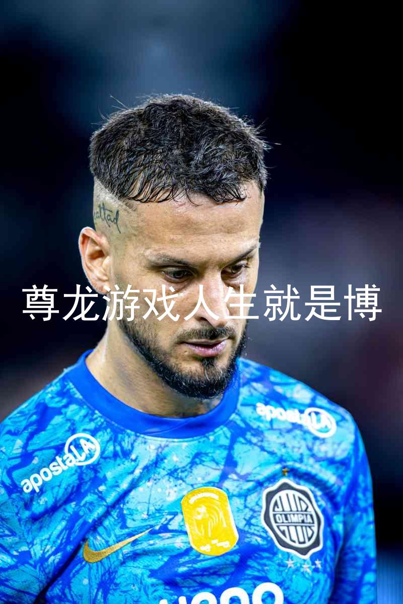 尊龙游戏人生就是博