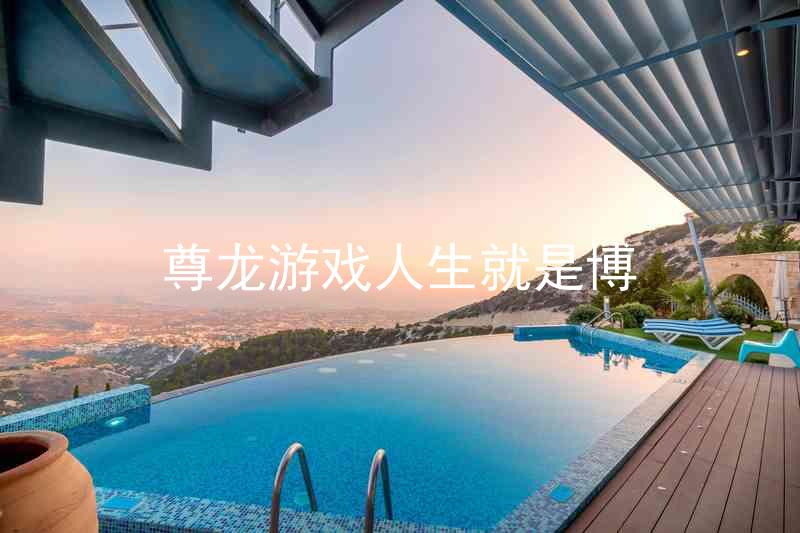 尊龙游戏人生就是博