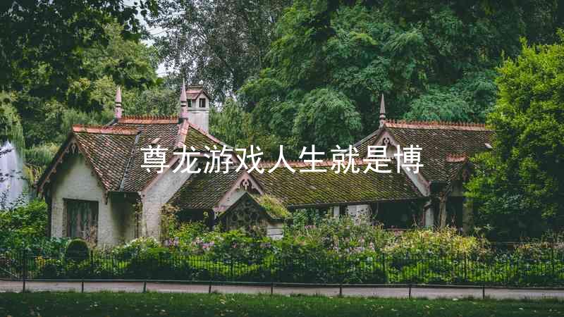 尊龙游戏人生就是博