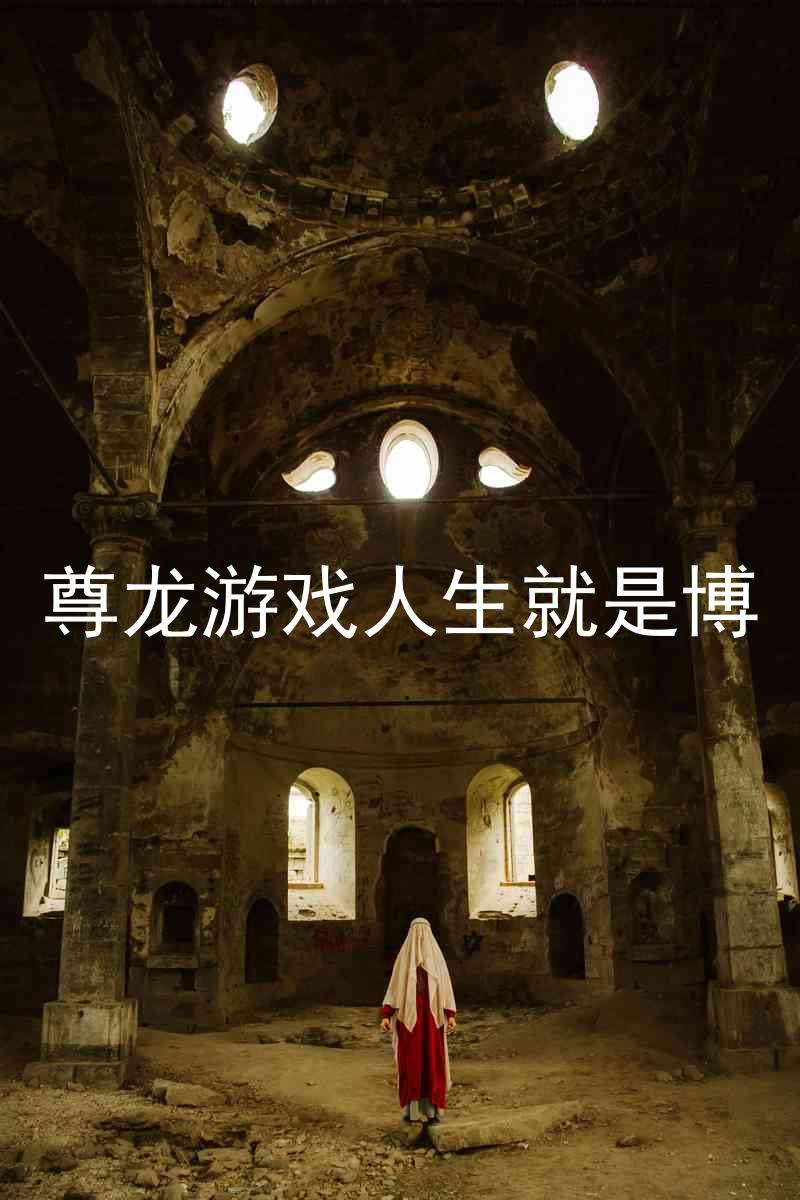 尊龙游戏人生就是博