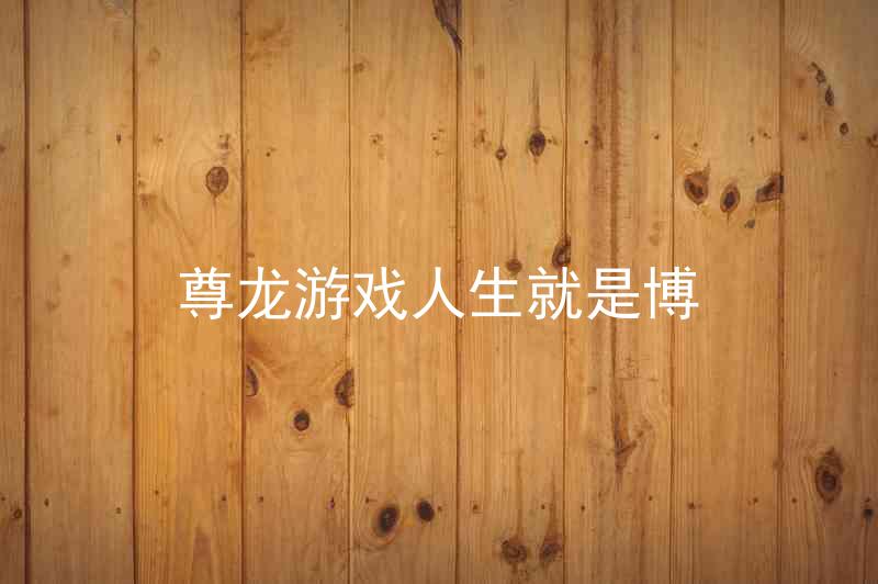 尊龙游戏人生就是博